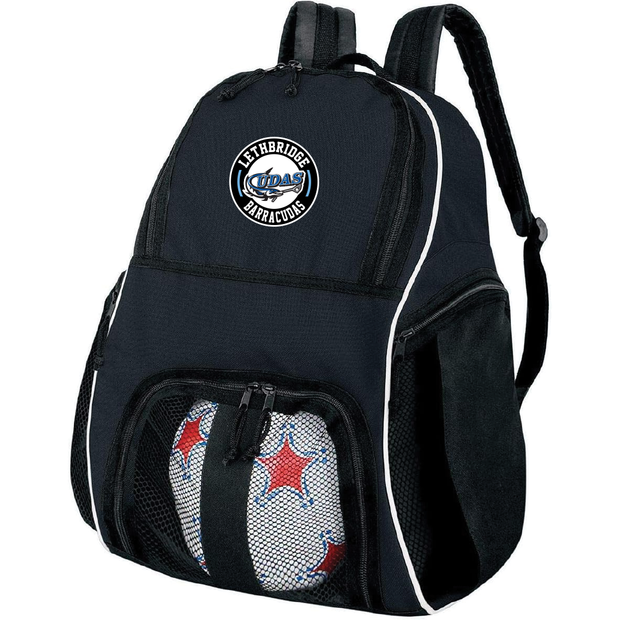 Barracudas Shinny Helmet Carry Bag (Print Logo)